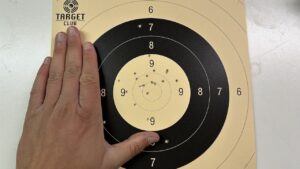 Edgun Leshiy 2 Ergebnis Ballern auf 25m