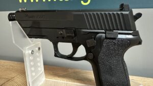 SIG Sauer P229 Co2 Pistole links hinten